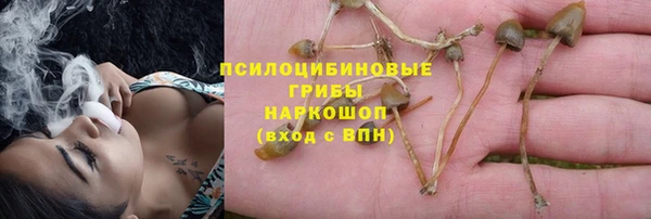 альфа пвп Дмитровск