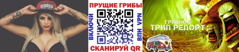 Псилоцибиновые грибы Psilocybe  ОМГ ОМГ зеркало  Боровичи  купить наркотики сайты 