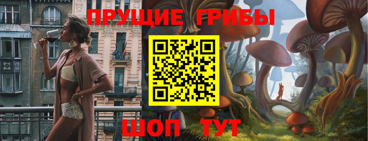 Псилоцибиновые грибы Cubensis  Боровичи  Псилоцибиновые грибы прущие грибы 