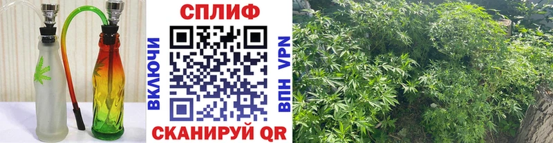 Шишки марихуана гибрид  mega   Боровичи 